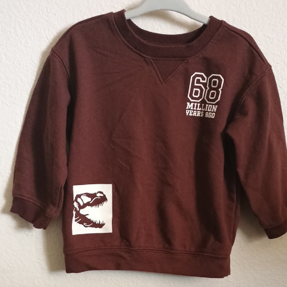Brown Dinosaur Sweater, 18M